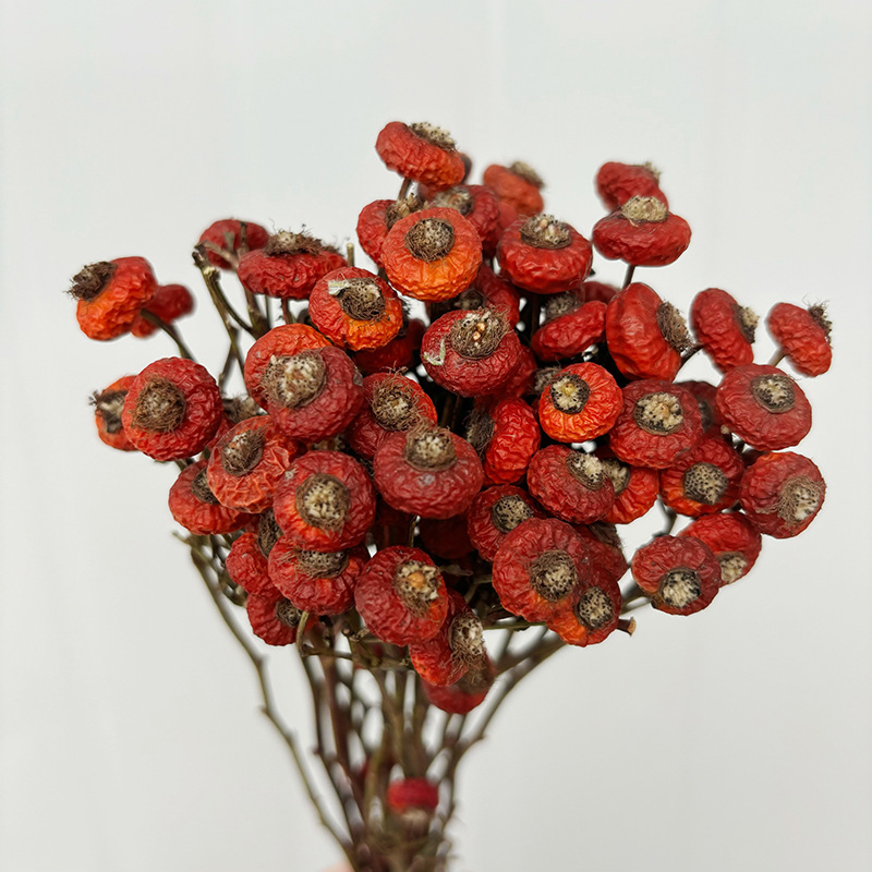 10pcs/Bunch Dried Rose Hip Ber - Dried Flower Bouquet recension och pris