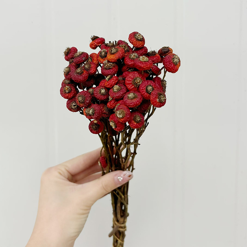 10pcs/Bunch Dried Rose Hip Ber - Dried Flower Bouquet recension och pris