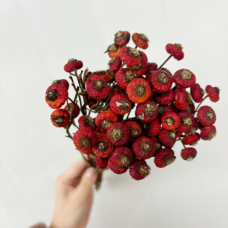 10pcs/Bunch Dried Rose Hip Ber - Dried Flower Bouquet recension och pris