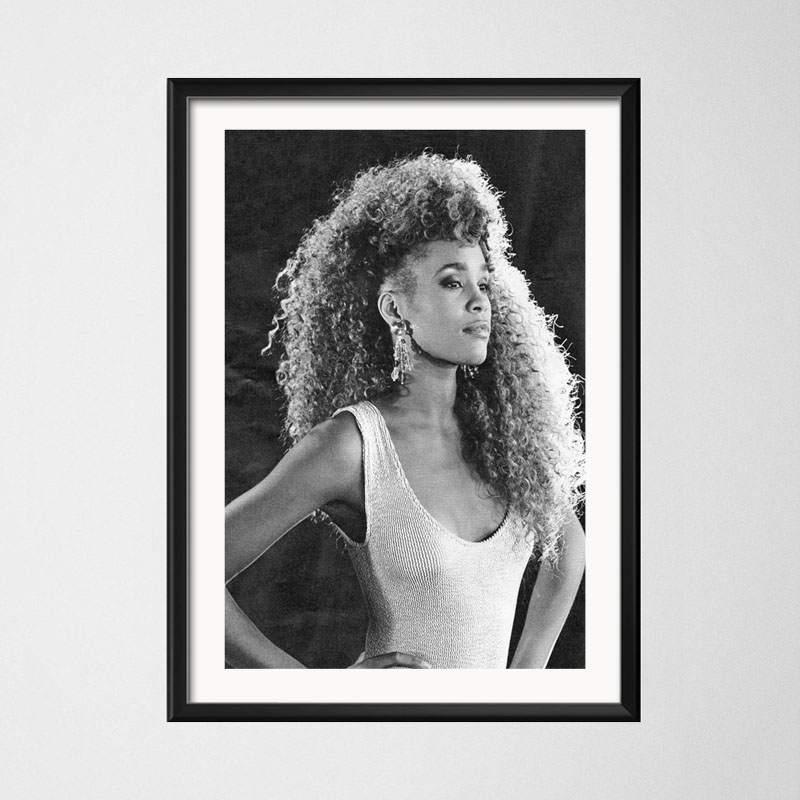 Poster And Prints Whitney Hous - Home Decor Houston recension och pris