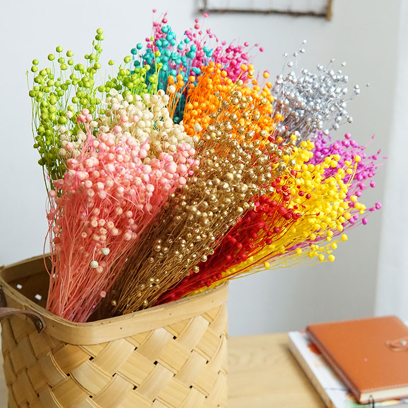 35g/Preserved Ormosia Hosiei N - Dried Flower Bouquet recension och pris