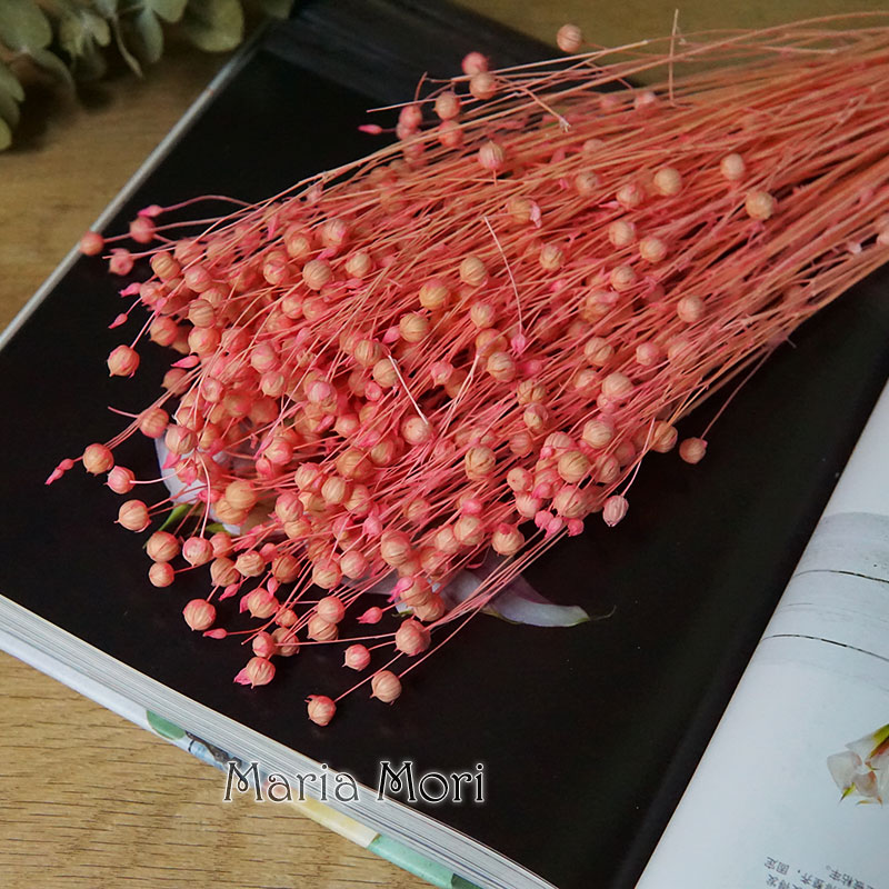 35g/Preserved Ormosia Hosiei N - Dried Flower Bouquet recension och pris