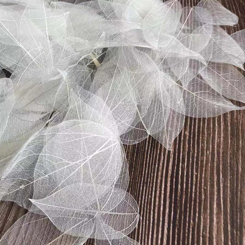 5~9CM*2~3.5CM,100PCS/Set,Real  - Dried Flower Bouquet recension och pris