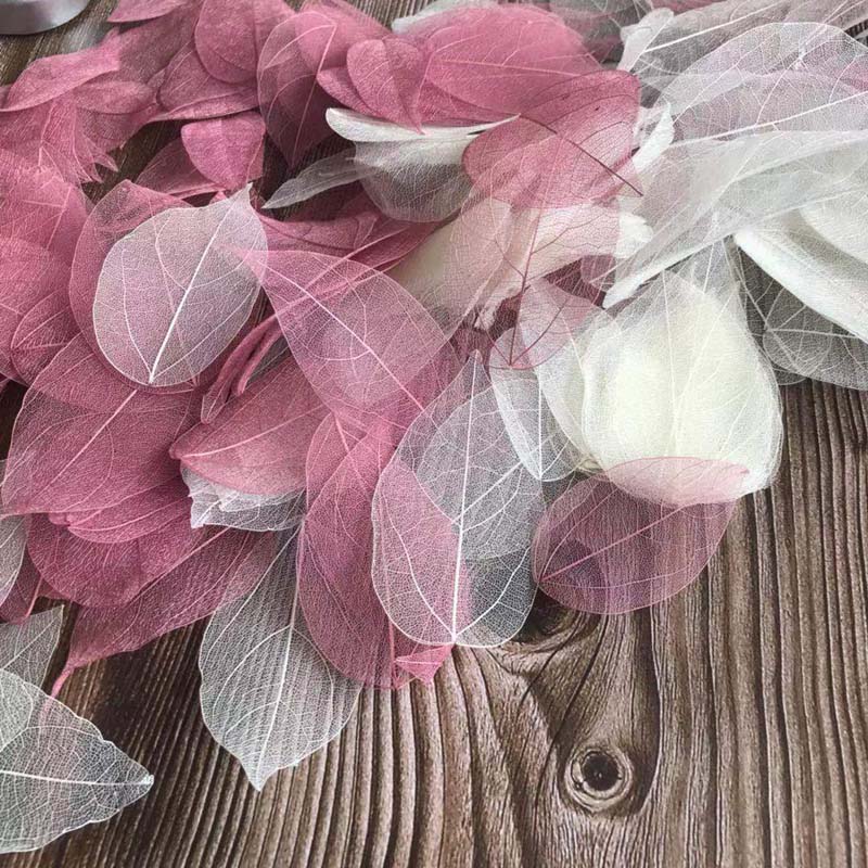5~9CM*2~3.5CM,100PCS/Set,Real  - Dried Flower Bouquet recension och pris