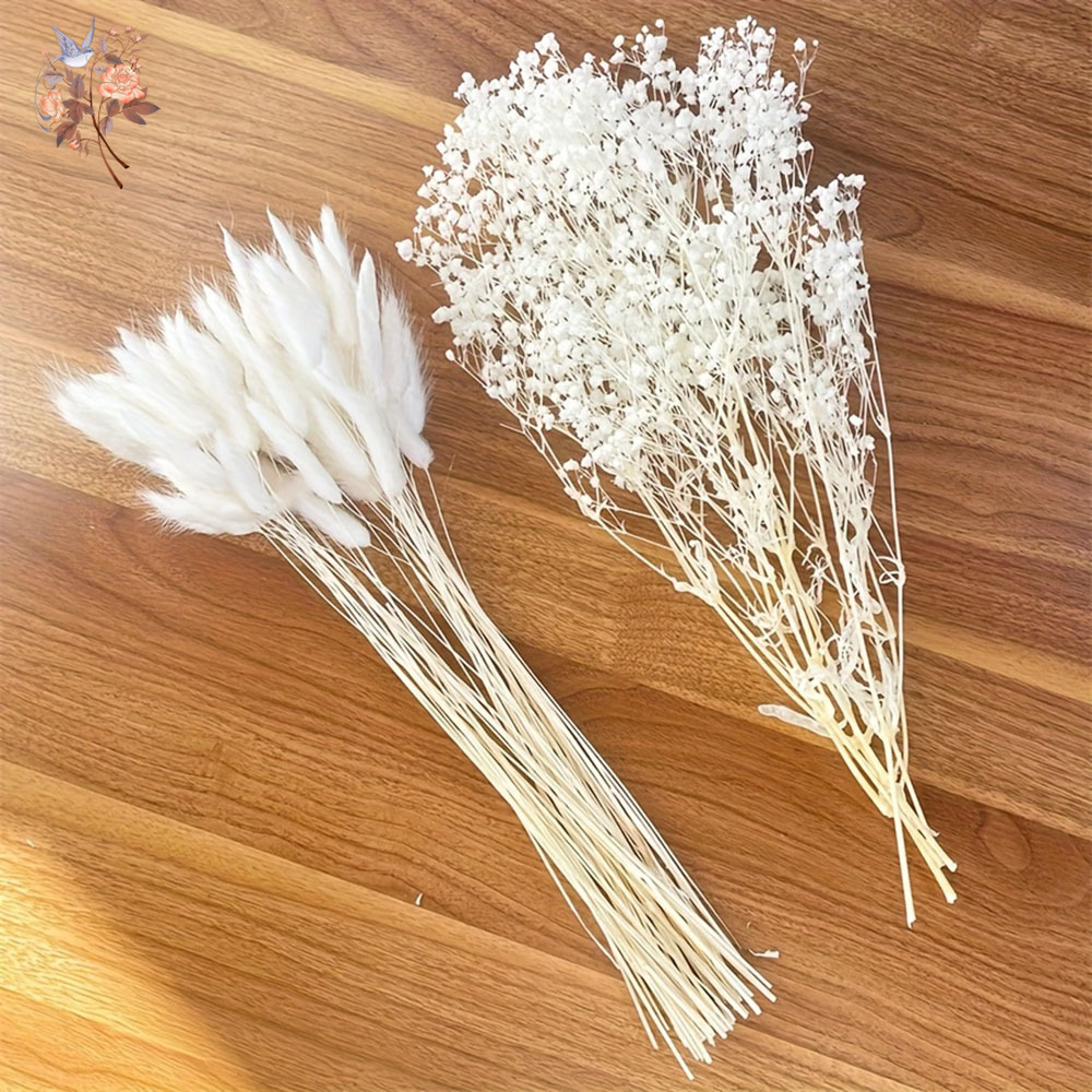 54Pcs White Dried Flower Brida - Dried Flower Bouquet recension och pris