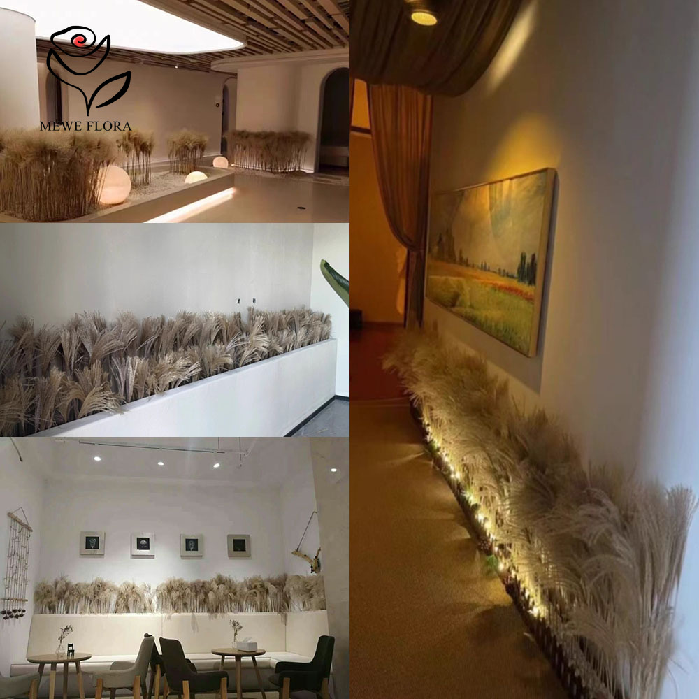200PCS Natural Dried Fluffy Re - Dried Flower Bouquet recension och pris