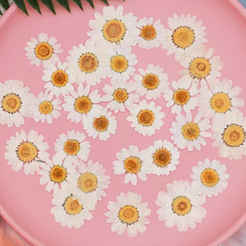 100Pcs Natural White Crystal C - Dried Flower Bouquet recension och pris