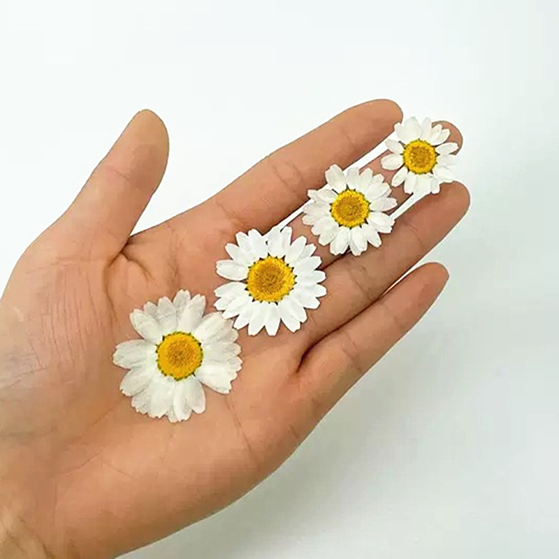 100Pcs Natural White Crystal C - Dried Flower Bouquet recension och pris