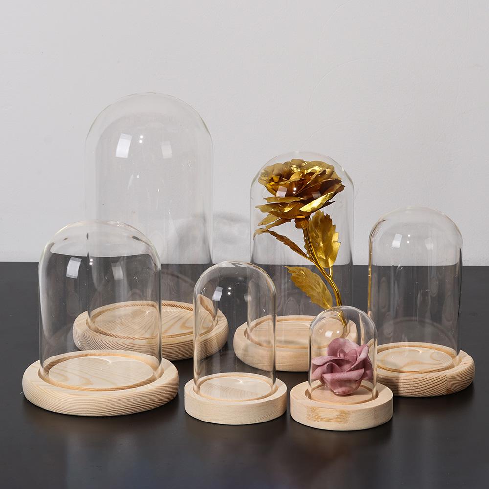 Home Decor Plants Jar Terrariu - Home Decor Vase recension och pris