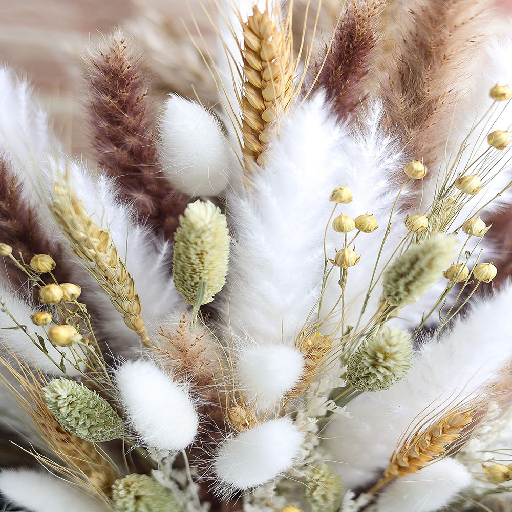 100pcs Dried Pampas Grass Bouq - Dried Flower Bouquet recension och pris