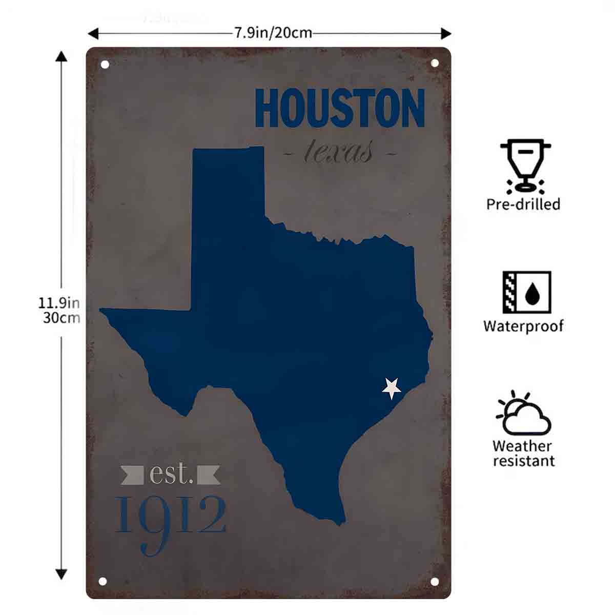 2D FLAT 1pc Houston Texas Blue - Home Decor Houston recension och pris