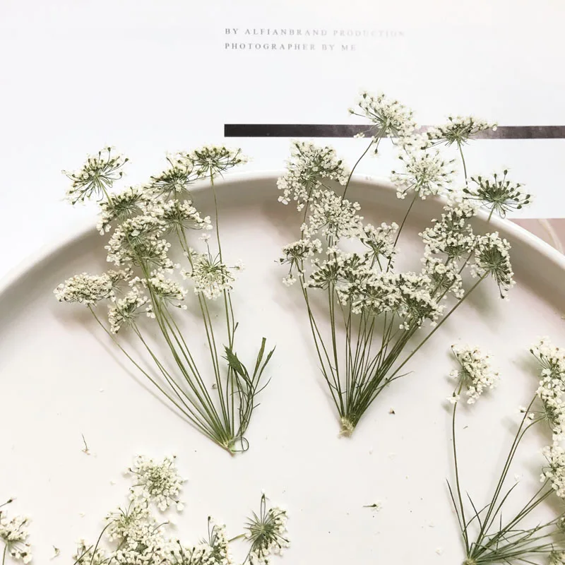 5-7cm/12pcs,Snow Tiny Flowers  - Dried Flower Bouquet recension och pris