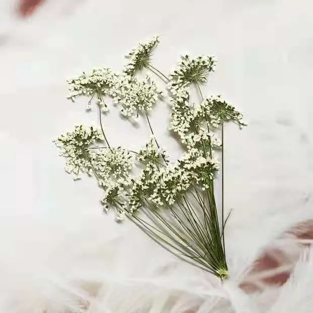 5-7cm/12pcs,Snow Tiny Flowers  - Dried Flower Bouquet recension och pris