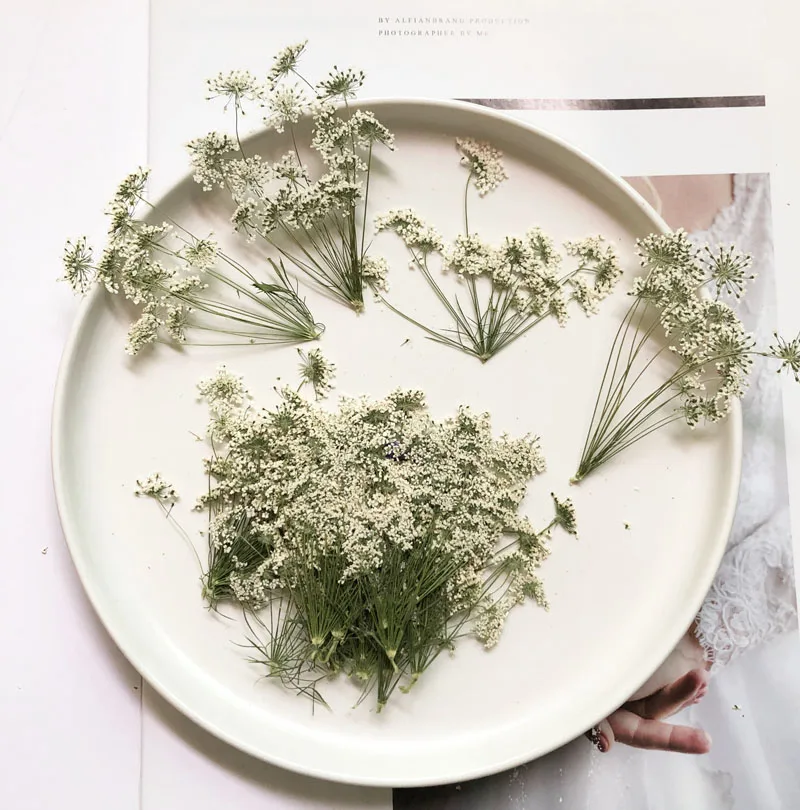 5-7cm/12pcs,Snow Tiny Flowers  - Dried Flower Bouquet recension och pris