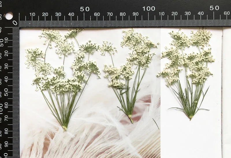 5-7cm/12pcs,Snow Tiny Flowers  - Dried Flower Bouquet recension och pris
