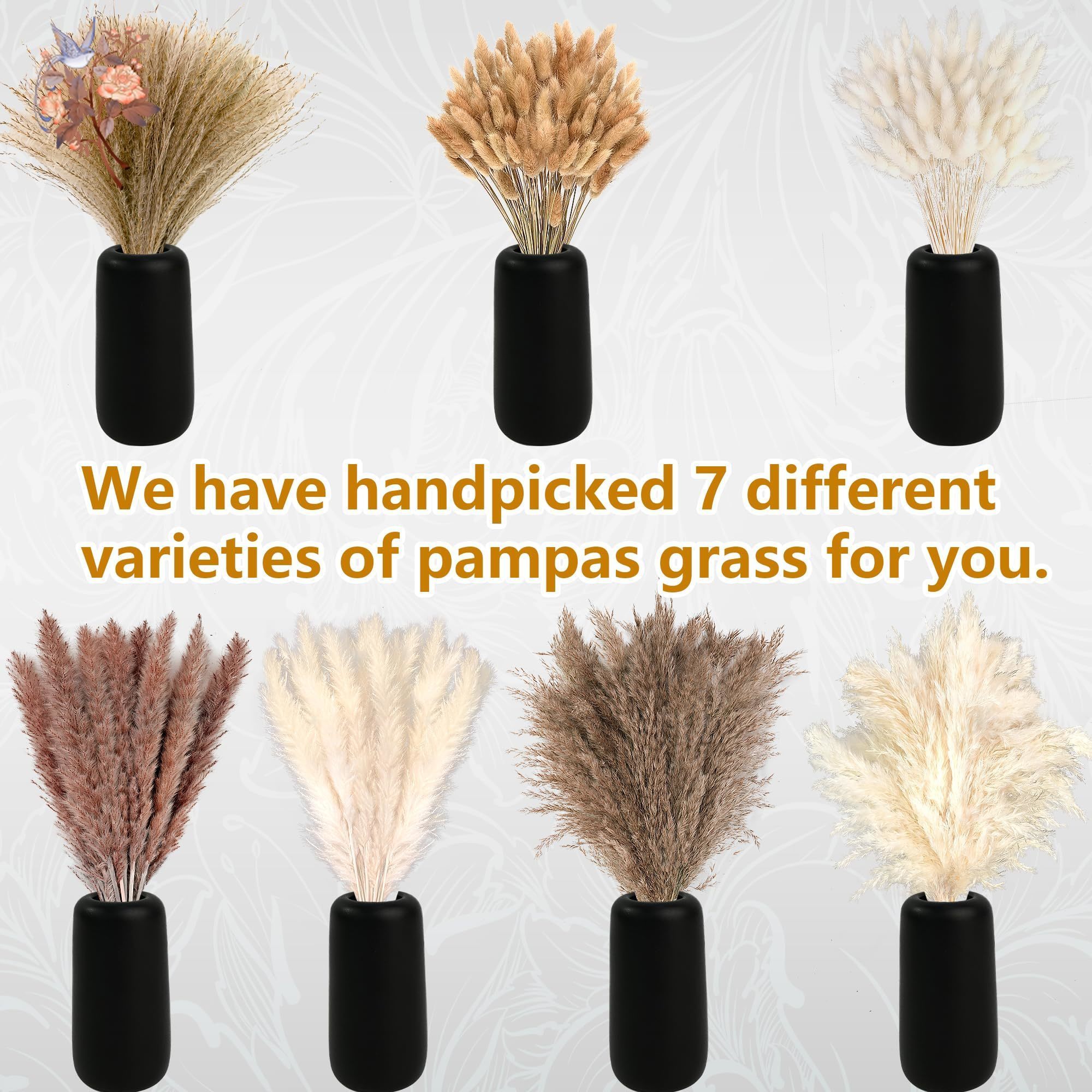 300Pcs Natural Large Pampas Gr - Dried Flower Bouquet recension och pris