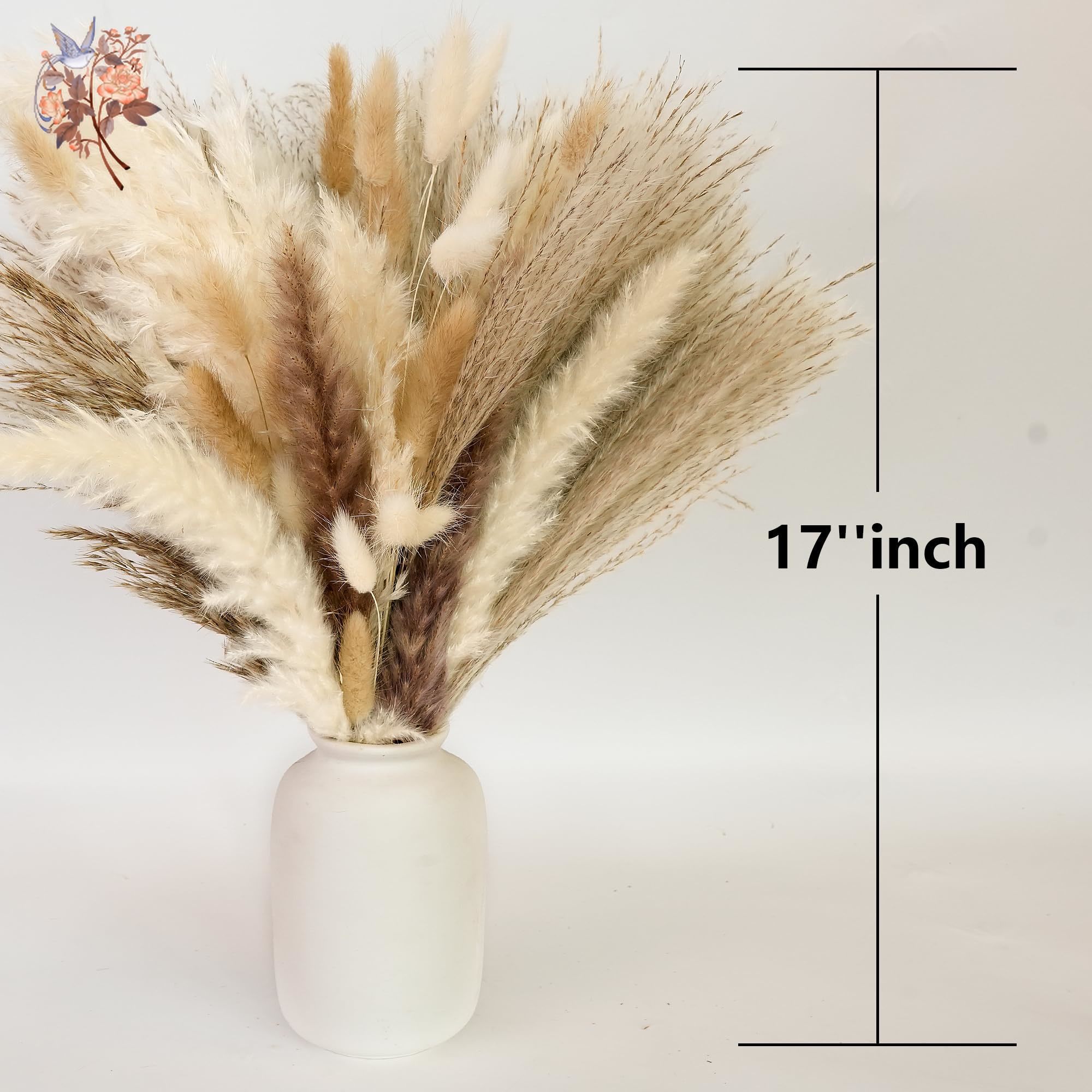 300Pcs Natural Large Pampas Gr - Dried Flower Bouquet recension och pris