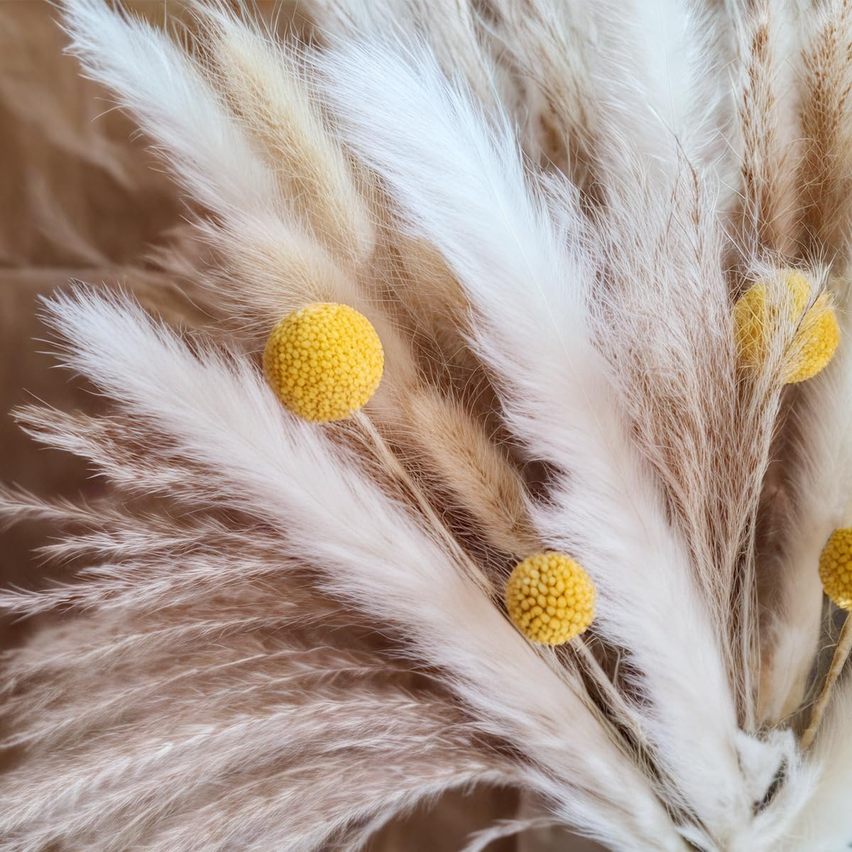 Dried Pampas Grass Bouquet Nat - Dried Flower Bouquet recension och pris
