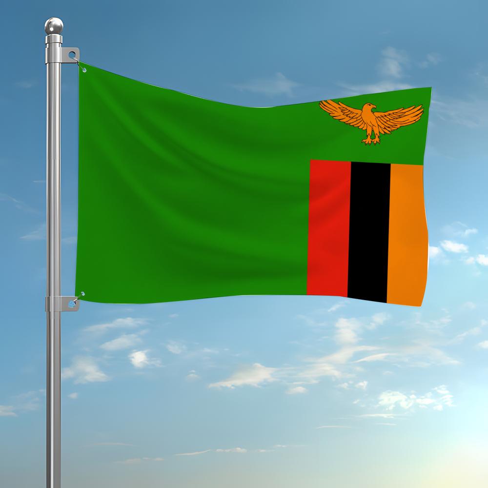 Zambia Custom Flag Wall Hangin - Home Decor Zambia recension och pris