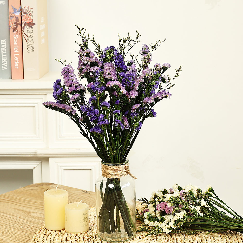 100g Natural Real Forget-me-no - Dried Flower Bouquet recension och pris