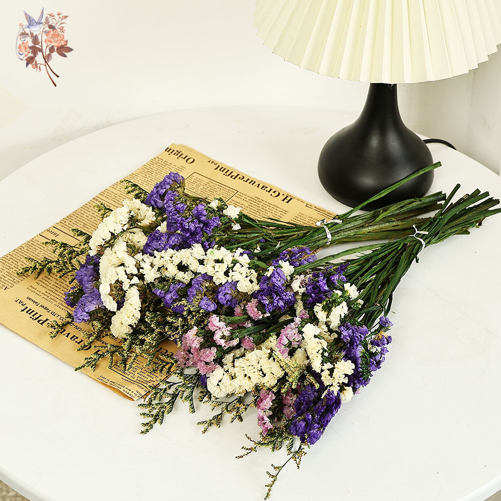 100g Natural Real Forget-me-no - Dried Flower Bouquet recension och pris