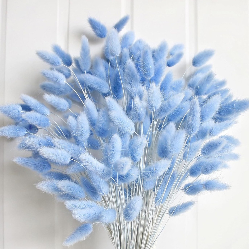 100PCS Blue Hare's-tail Grass  - Dried Flower Bouquet recension och pris