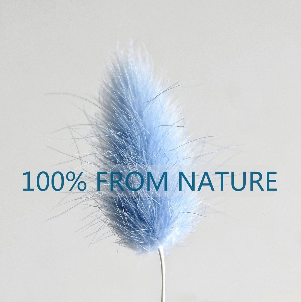 100PCS Blue Hare's-tail Grass  - Dried Flower Bouquet recension och pris