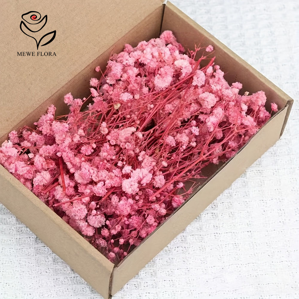 100 Small Branch Dried Baby's  - Dried Flower Bouquet recension och pris
