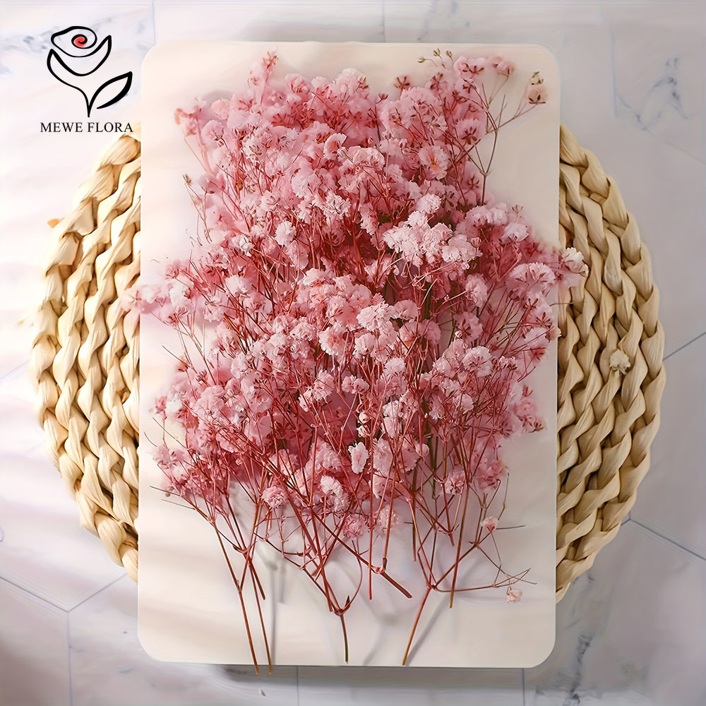 100 Small Branch Dried Baby's  - Dried Flower Bouquet recension och pris