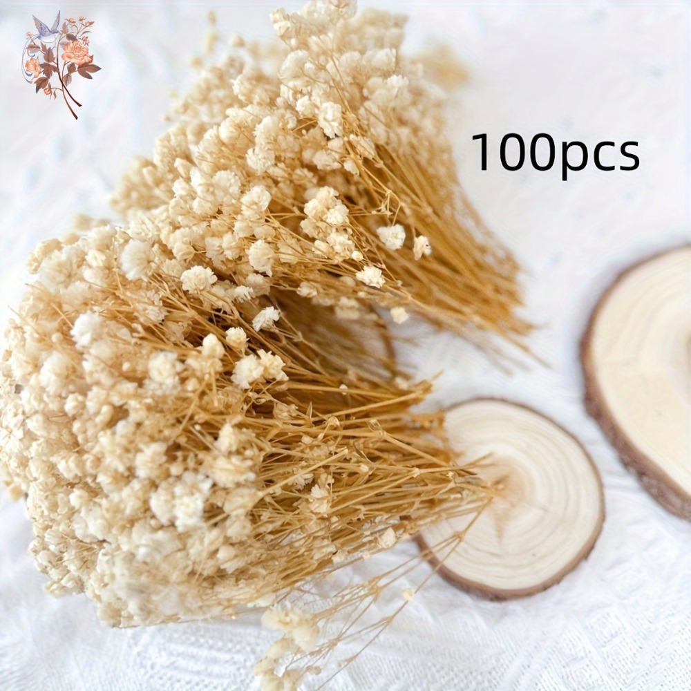 100pcs Mini Dried Baby's Breat - Dried Flower Bouquet recension och pris