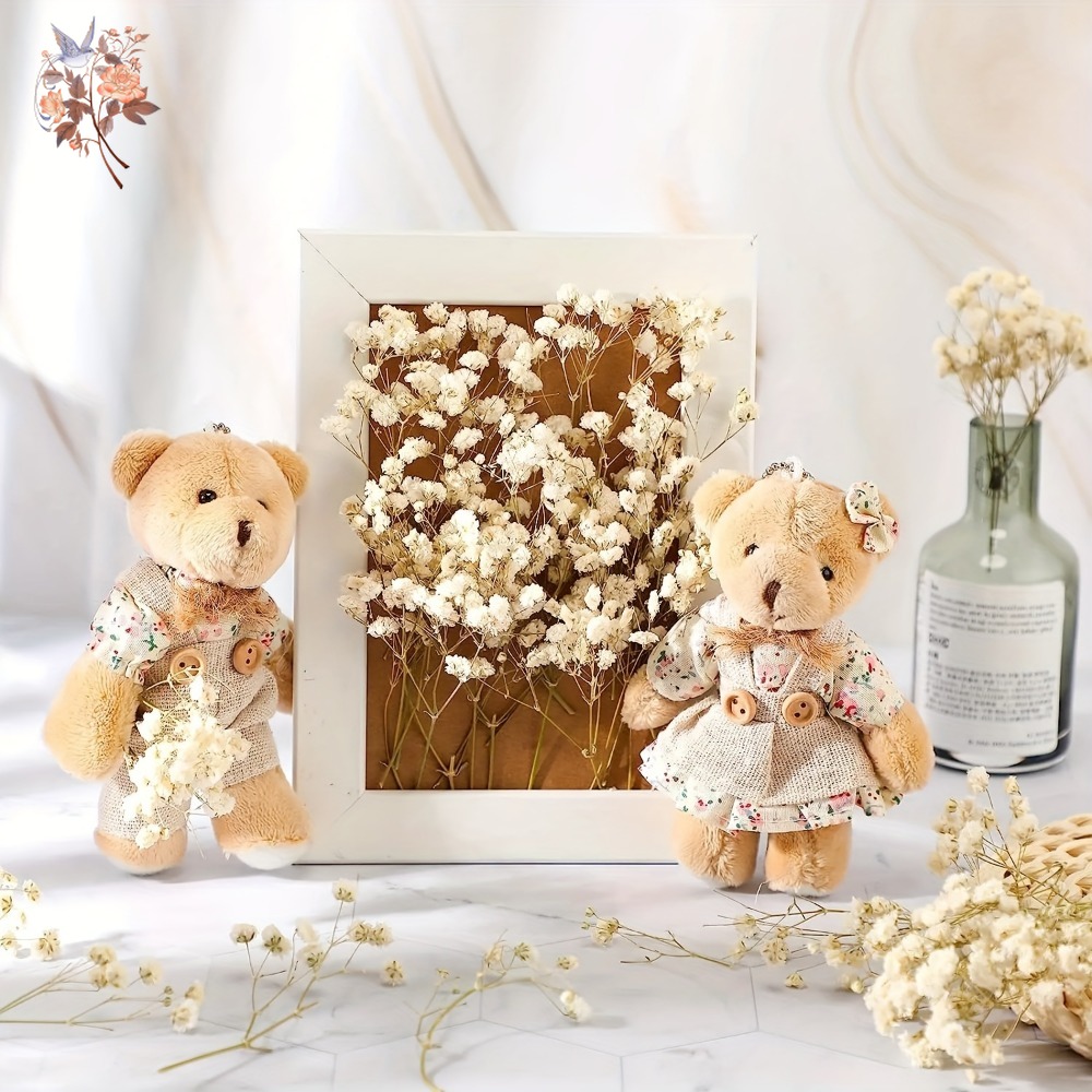 100pcs Mini Dried Baby's Breat - Dried Flower Bouquet recension och pris