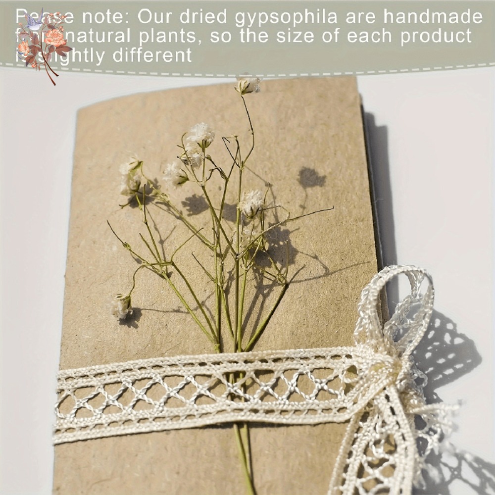 100pcs Mini Dried Baby's Breat - Dried Flower Bouquet recension och pris